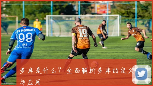 多库是什么?全面解析多库的定义与应用