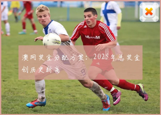 澳网奖金分配方案：2025年总奖金创历史新高