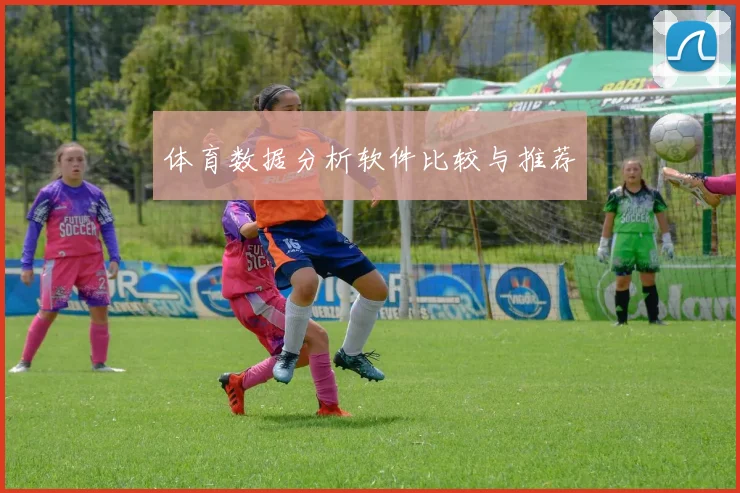 体育数据分析软件比较与推荐