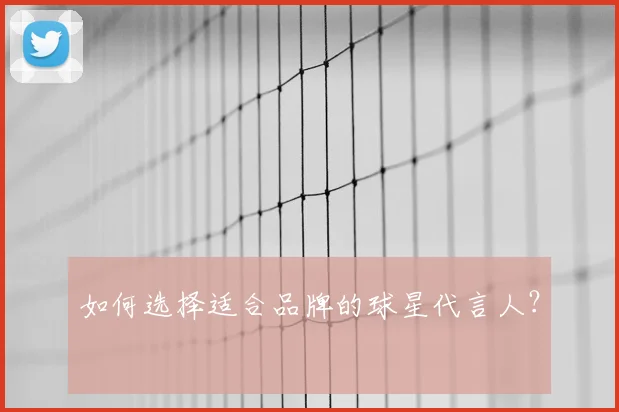 如何选择适合品牌的球星代言人?