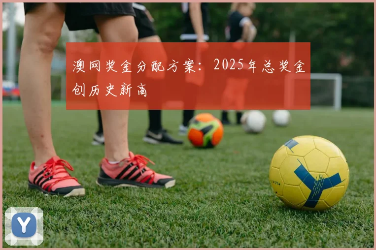 澳网奖金分配方案：2025年总奖金创历史新高