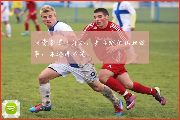 当青春遇上汗水，乒乓球的热血故事，永远讲不完