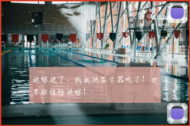 这球进了,我就把显示器吃了!世界杯惊险进球!