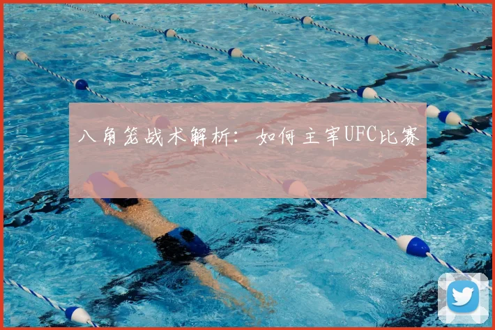 八角笼战术解析：如何主宰UFC比赛