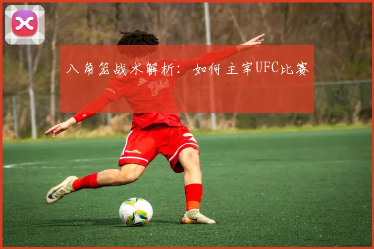 八角笼战术解析：如何主宰UFC比赛