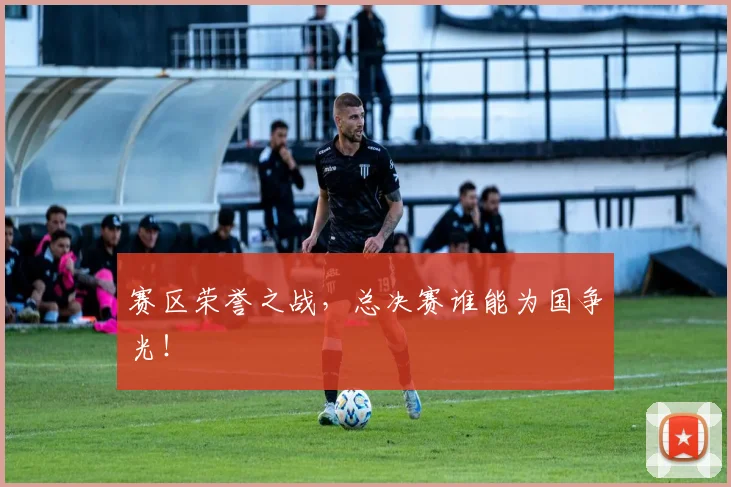 赛区荣誉之战，总决赛谁能为国争光！