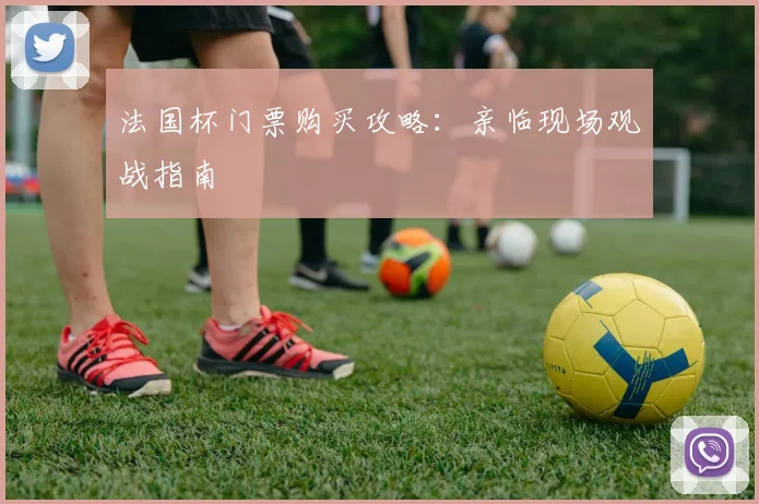 法国杯门票购买攻略:亲临现场观战指南