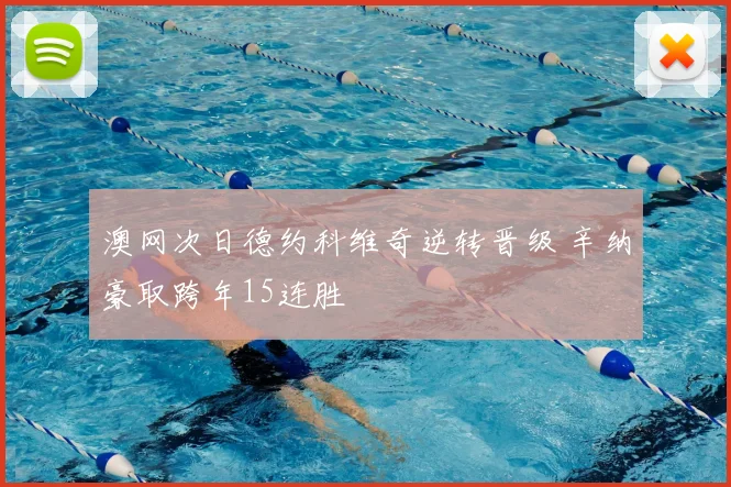 澳网次日德约科维奇逆转晋级 辛纳豪取跨年15连胜