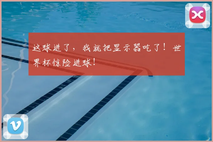 这球进了,我就把显示器吃了!世界杯惊险进球!